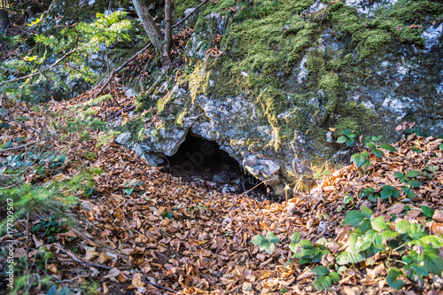 Fuchsbau unter einem Felsen