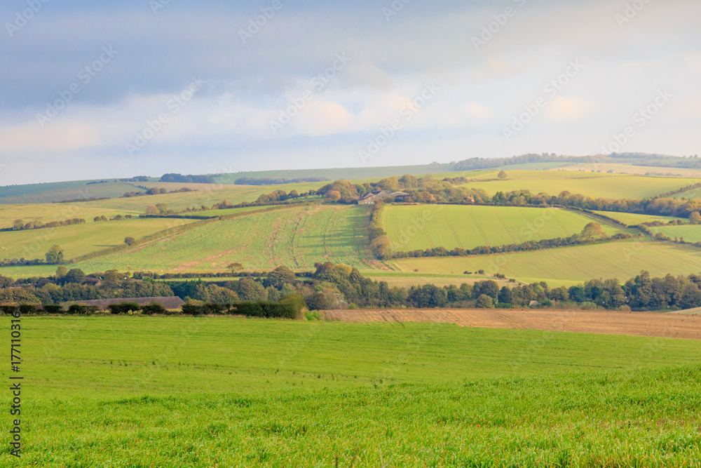 Sussex Landscape