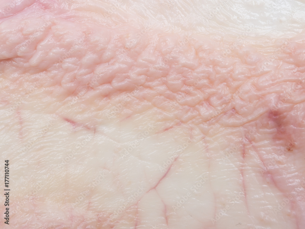 Fototapeta premium chicken skin