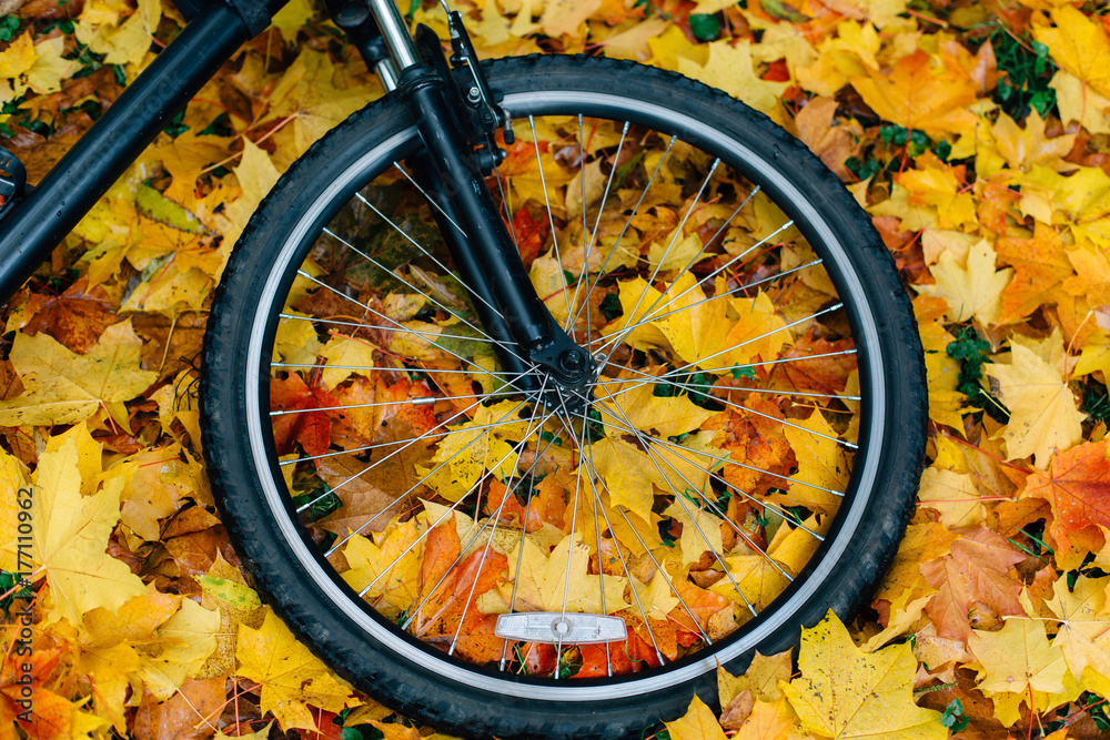 Obraz premium Bicycle standing on sports ground in colorful autumn park. Fall season background