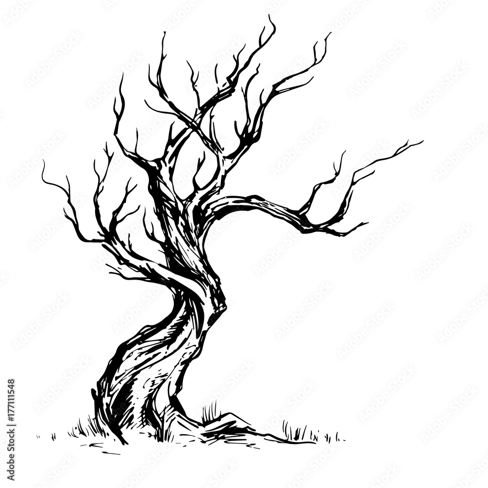 Handsketched illustration of old crooked tree.