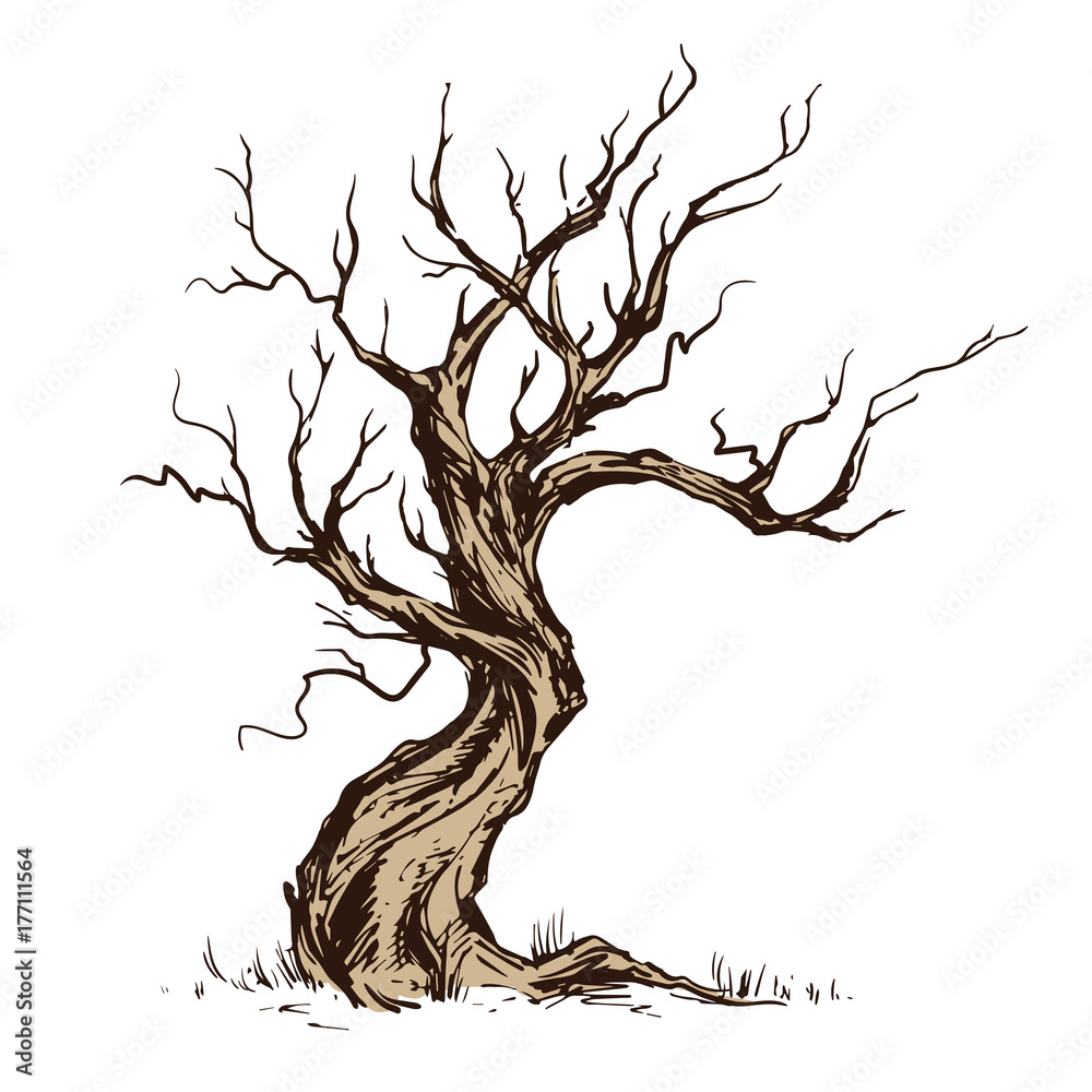 Handsketched illustration of old crooked tree.