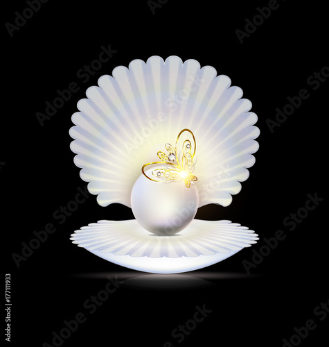 jewel and shell
