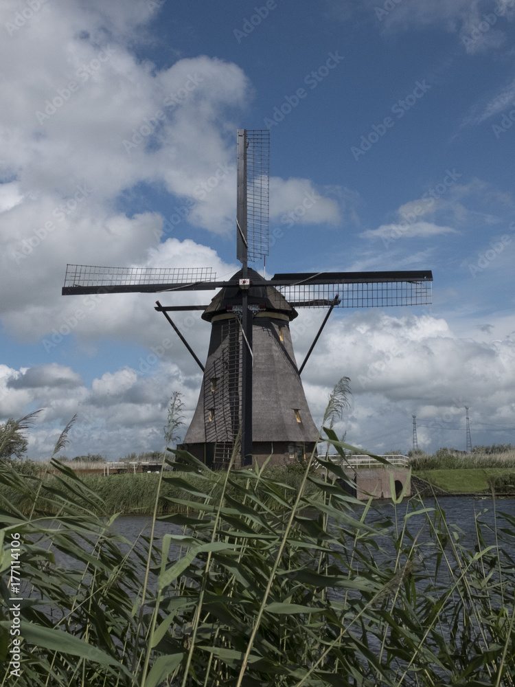 wildmill in holand