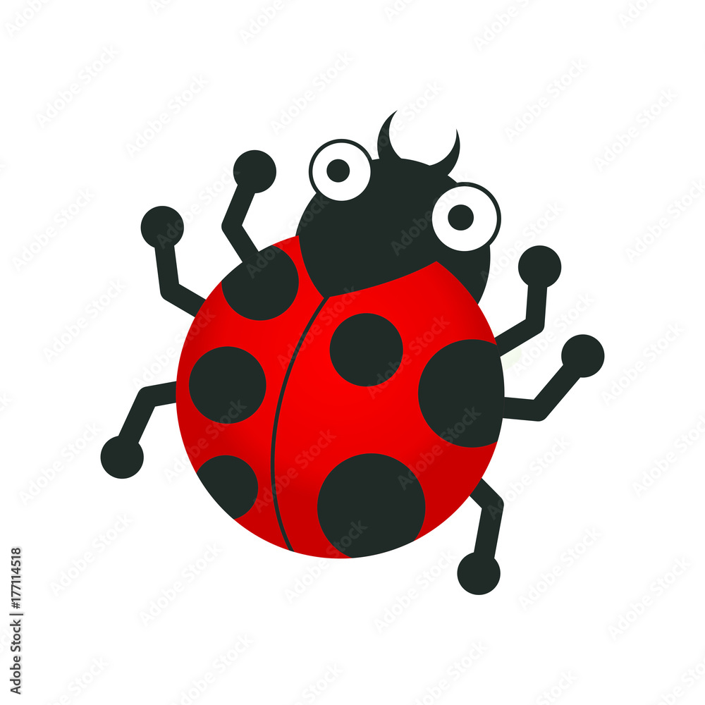 Fototapeta premium Red bug