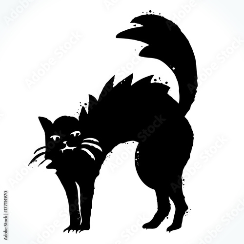 Hand drawn picture of cat silhouette isolated on white background. Template for Halloween design. Vector illustration.