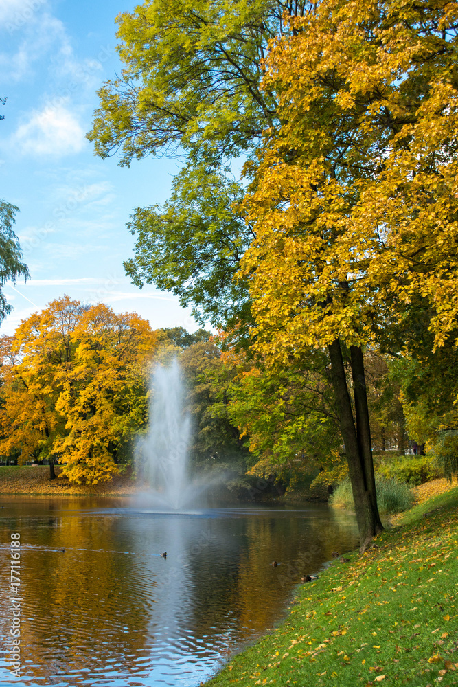 Golden autumn in a city park. People walking. Riga, Latvia.