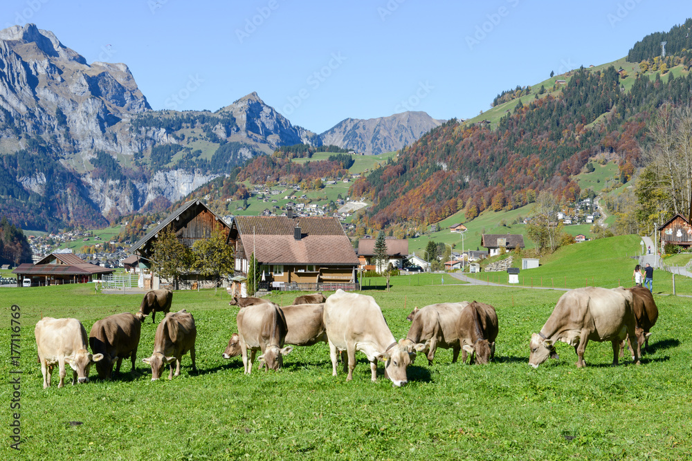 Rural landscape at the village of Engelberg on Switzerland