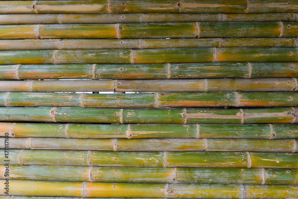 Naklejka premium bamboo texture nature background.