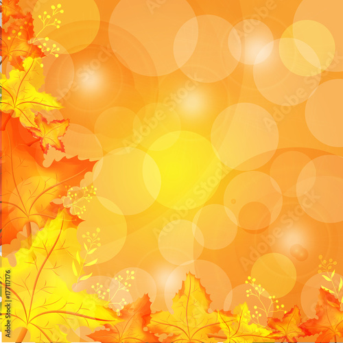 Vector and illustration background for fall and autumn seasonal concept with orange, red, yellow maple and flare light and bokeh background