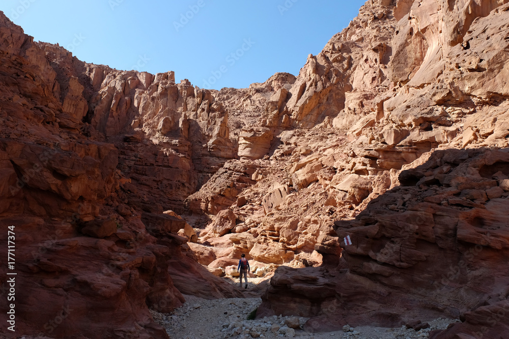 Alone hiker in red sandstone canyon of Eilat Mountains.