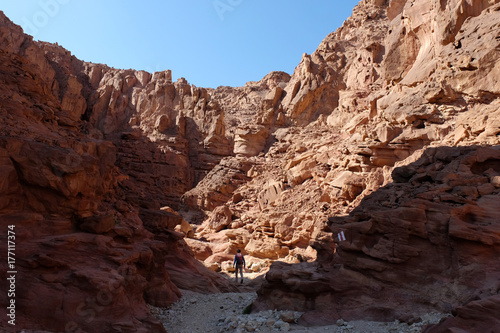 Alone hiker in red sandstone canyon of Eilat Mountains. © leospek