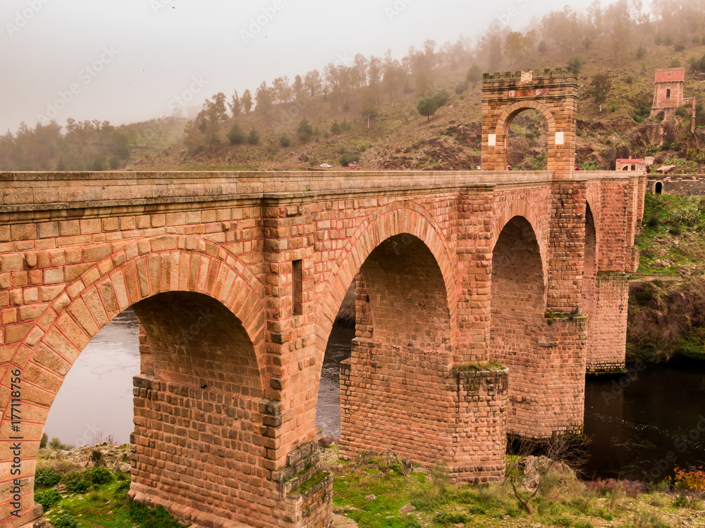 Obraz premium Roman bridge of Alcantara