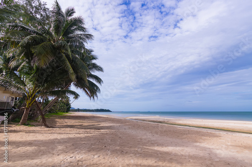 Beach sea and the coconut tree