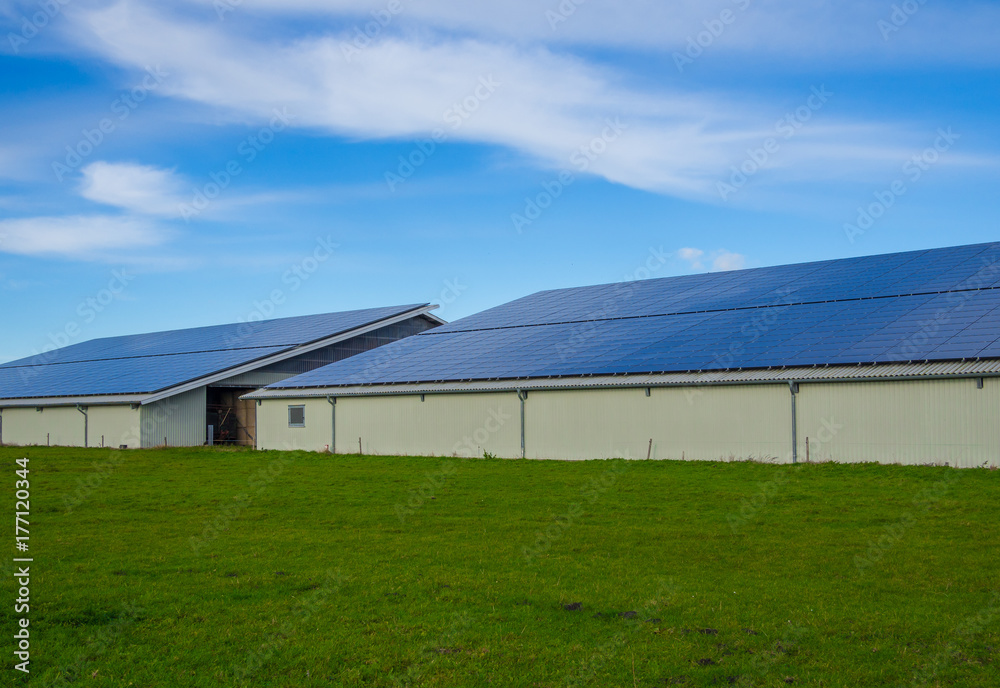 Solar panels or photovoltaic on modern farm buildings with blue sky and green grass, Schleswig-Holstein, Germany
