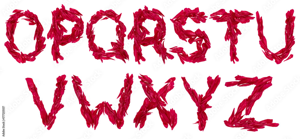 Letters from leaves lime Letters from leaves lime