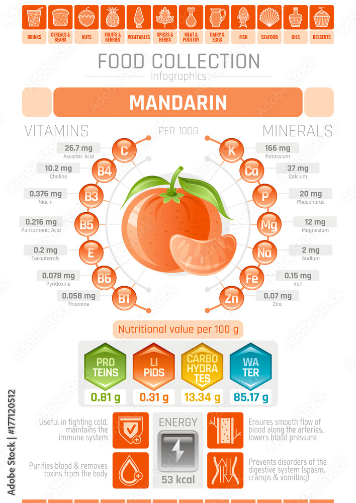 Food infographics poster, mandarin fruit vector illustration. Healthy