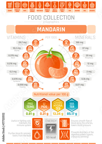 Food infographics poster, mandarin fruit vector illustration. Healthy eating icon set, diet design elements, vitamin mineral supplement chart, protein, lipid, carbohydrates, diagram flat flyer banner