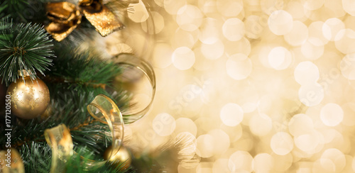 Christmas tree branch with ...