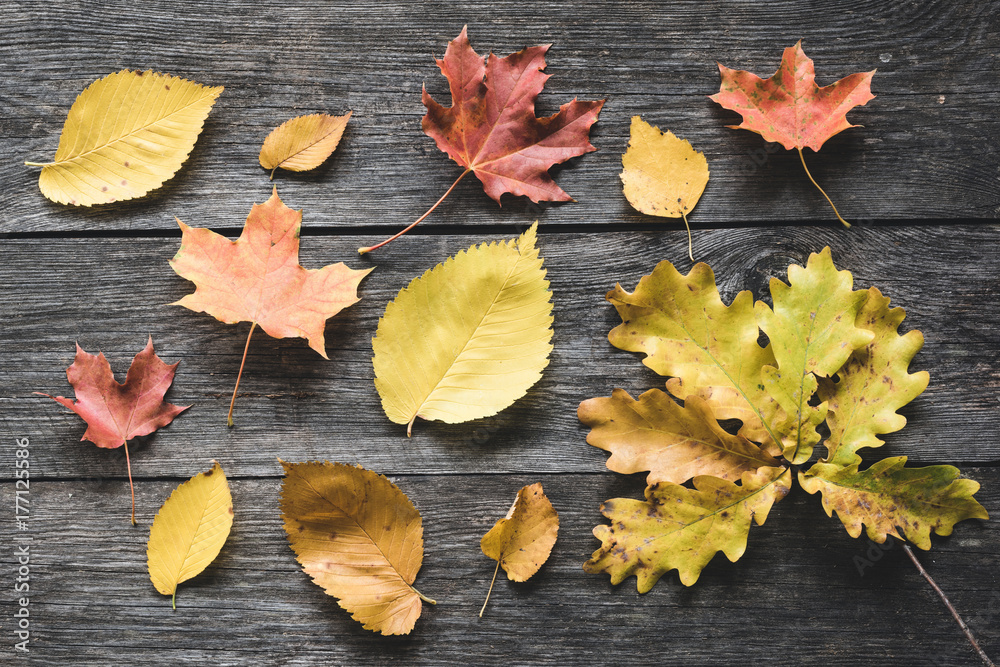 Autumn leaves on old wooden backdrop. Seasonal flat lay