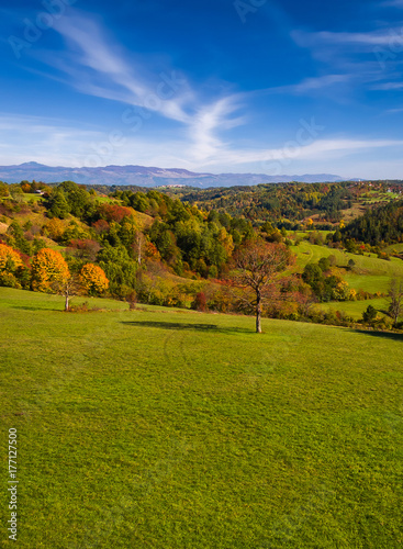 Aerial drone view of amazing autumn colors in fall landscape. Brkini, Slovenia