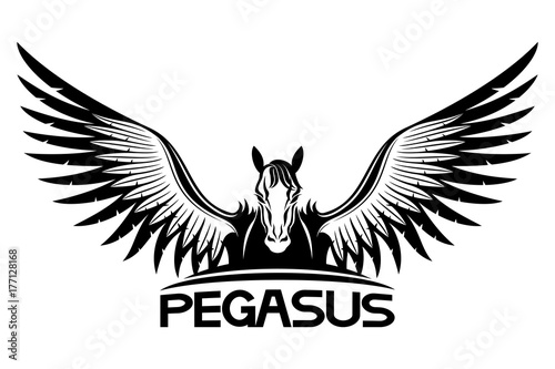 Fotografia Sign of pegasus.