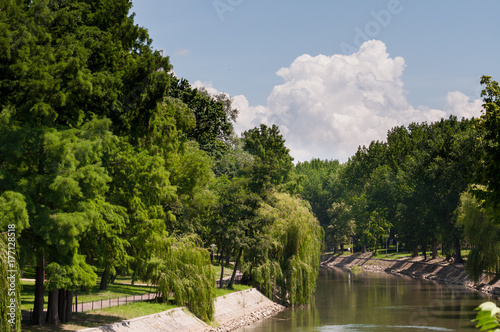 sunny day view of a river in a park