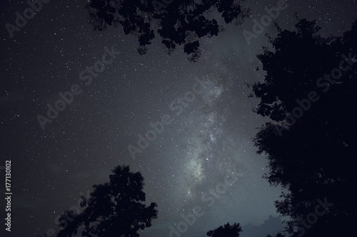 Long exposure and High ISO shot of star and milky way over the mountain and silhouette of tree at night. Blue tone effect.