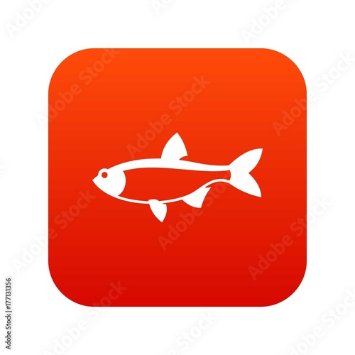 Rudd fish icon digital red photo