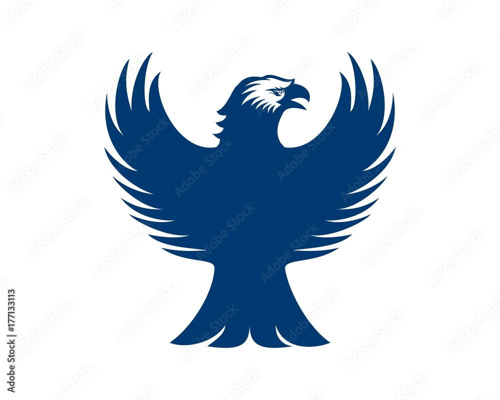 Obraz premium Eagle security