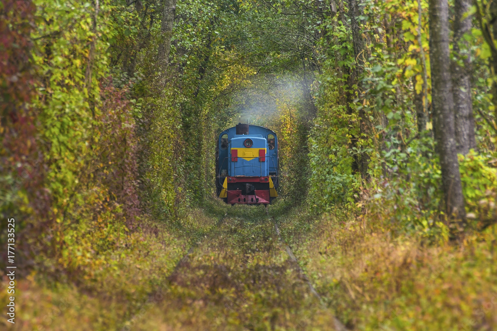 Fototapeta premium The old abandoned railway line, in the alley of green trees. Tourist facility. Settlement Klevan. Rivnenskaya region. Ukraine.