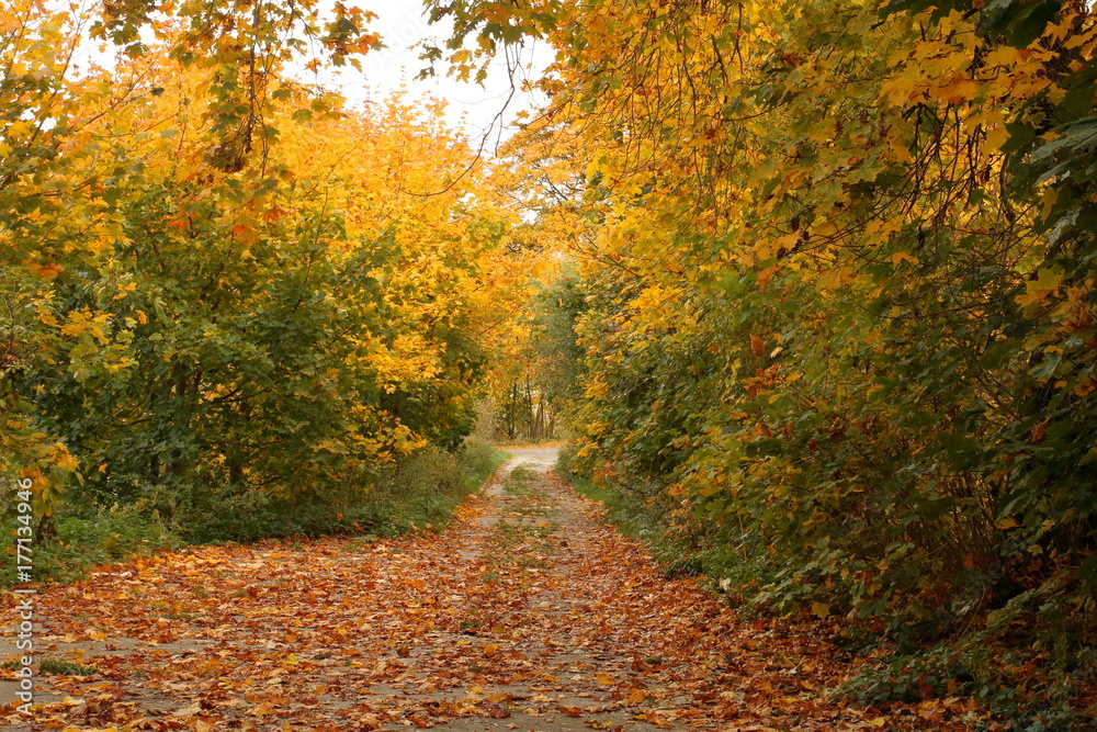 Jesienny krajobraz, Polska