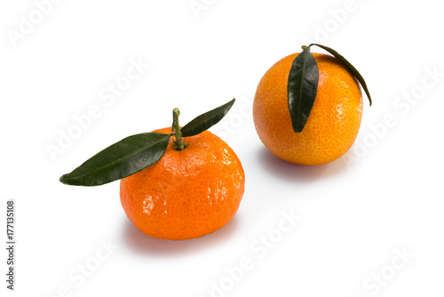 Freshly picked tangerines with leaves isolated on white background