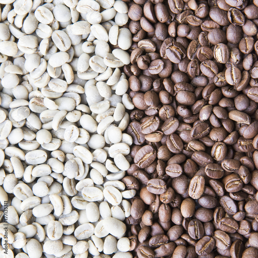 coffee beans background group of green and roasted arabica coffee beans concept of coffee state and agriculture coffee beans background group of green and roasted arabica coffee beans concept of coffee state and agriculture