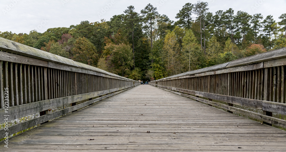 Wooden Bridge with fall color
