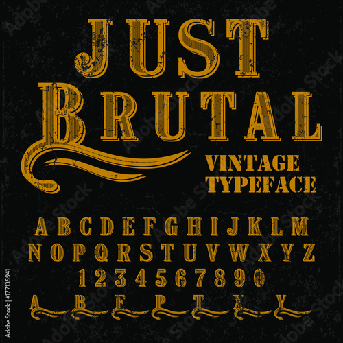 Vintage vector font - typeface design