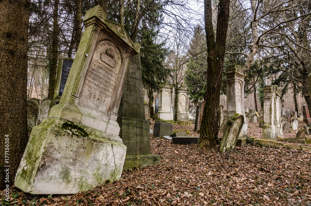 Fototapeta premium verlassener alter waldfriedhof