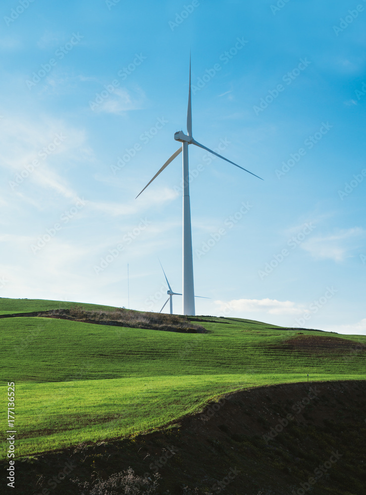 Windmills in the field Windmills in the field