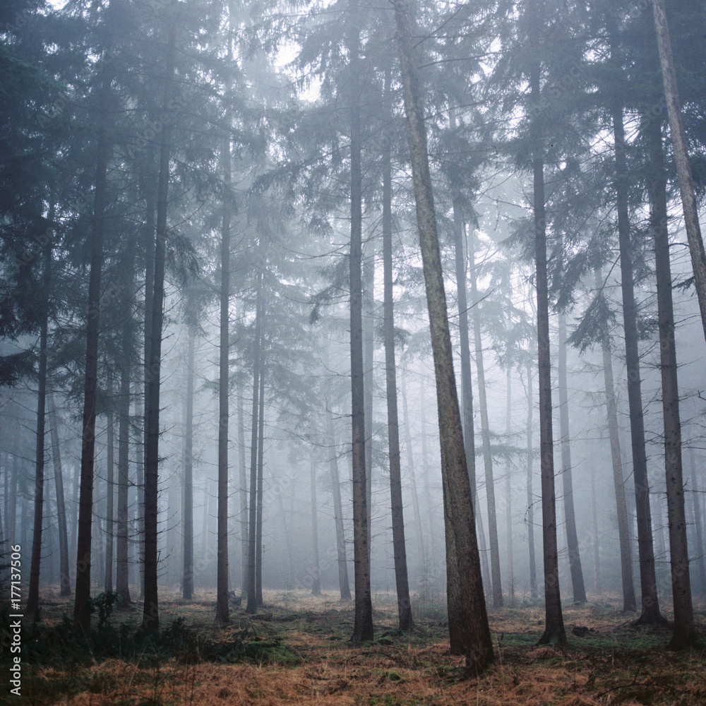 Sometimes .. Emptyness can be so Full Sometimes .. Emptyness can be so Full