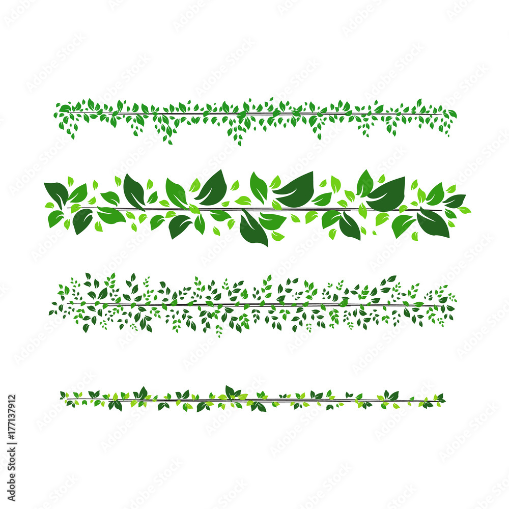 stripes of leaves for frames and text division