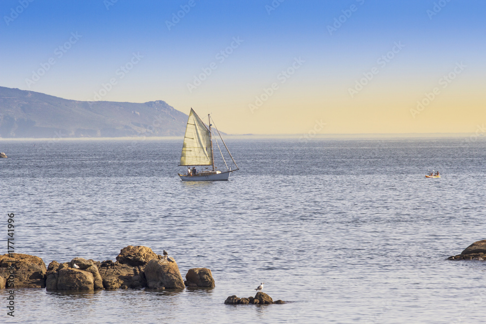 Naklejka premium Sailboat sailing