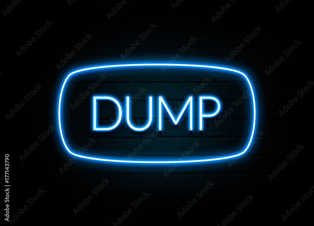 Dump  - colorful Neon Sign on brickwall