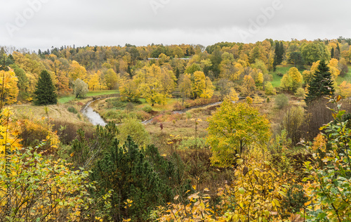 Fototapeta Naklejka Na Ścianę i Meble -  Autumn view in the park