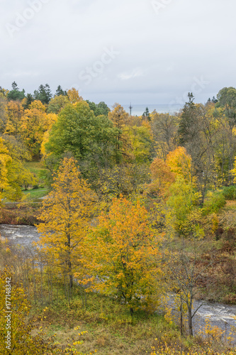 Fototapeta Naklejka Na Ścianę i Meble -  Autumn view in the park