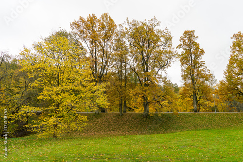 Autumn view in the park