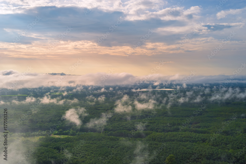 Morning sunrise and foggy of the rock whale mountain in Thailand
