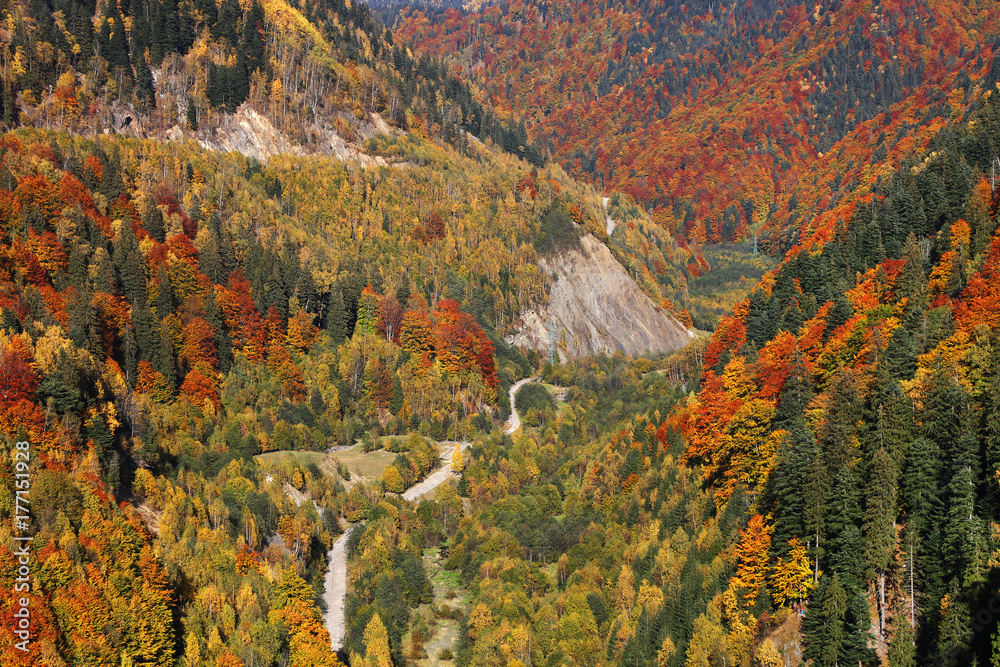 Autumn landscape in the Romanian Carpathians, Europe