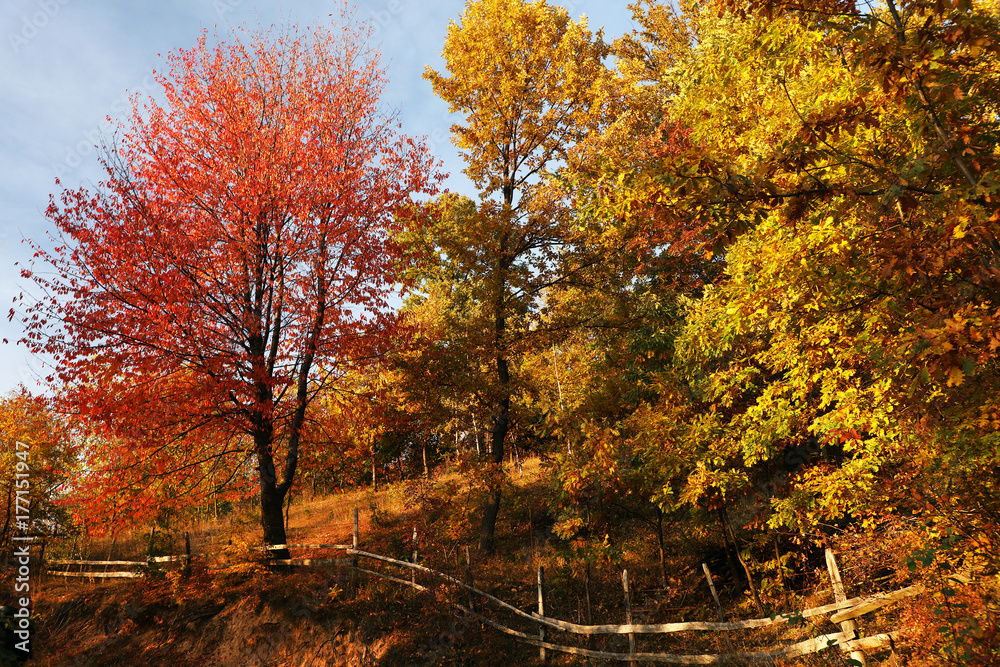 Autumn landscape in the Romanian Carpathians, Europe