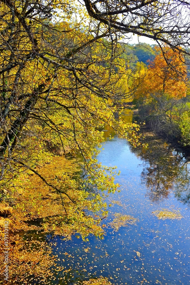rivière suran automne ain 2