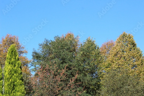 Blauer Oktoberhimmel über Geisecke